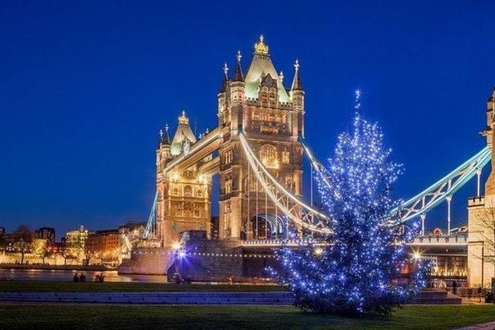 Visite guidée privée de Noël à Londres