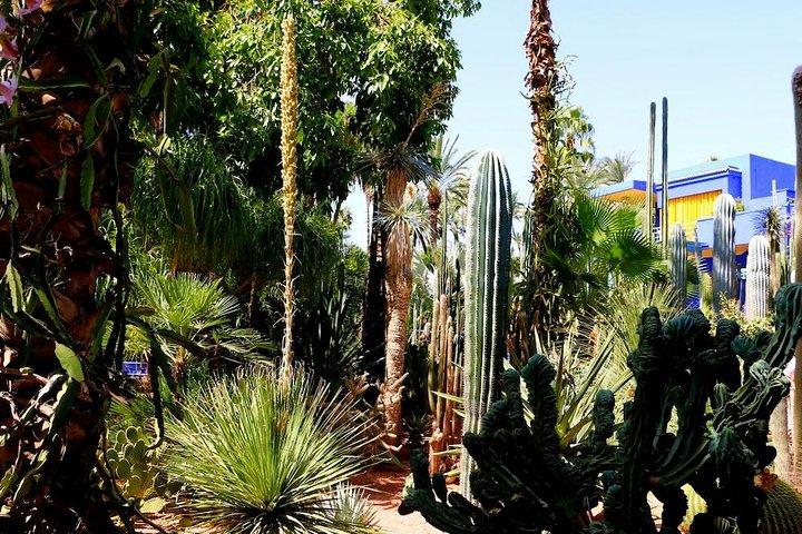 Marrakech Private Full-Day Walking Tour with Hotel Pickup and Drop-Off