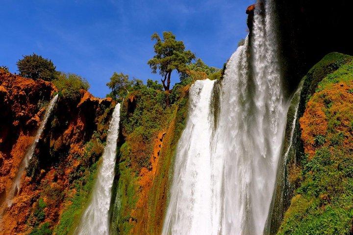 Ouzoud Cachoeiras Private Day Trip de Marrakech