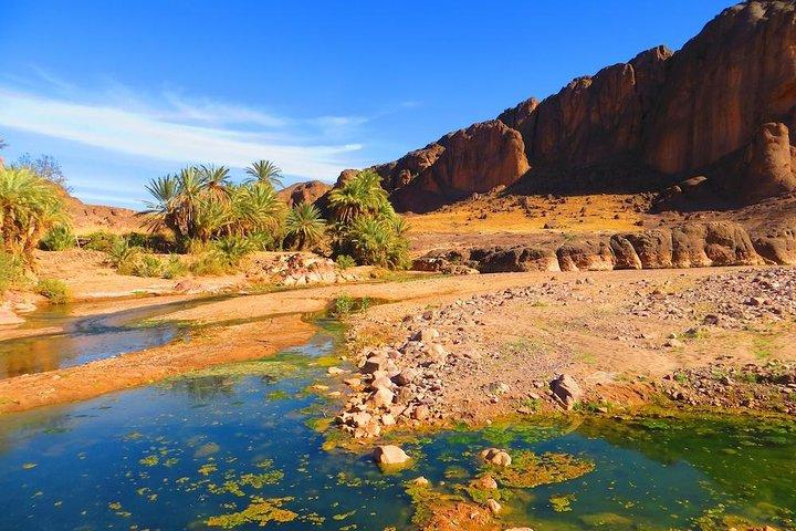 Tour privado de un día por Ouarzazate y Oasis Fint
