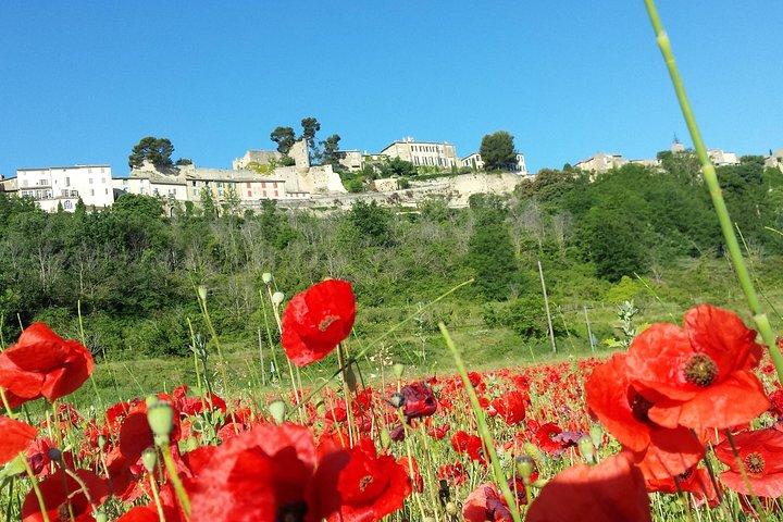 Tour privado de medio día por la Provenza