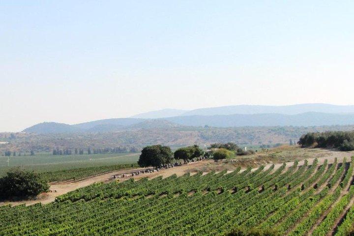 Private Weintour durch Nordisrael