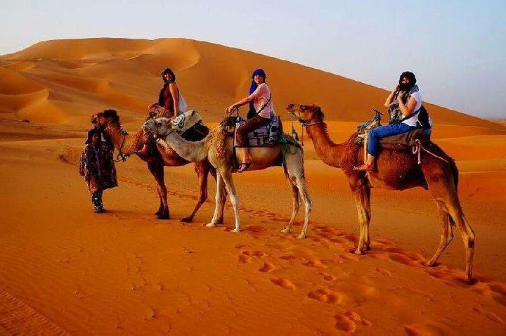 Safari privé dans le désert de Dubaï