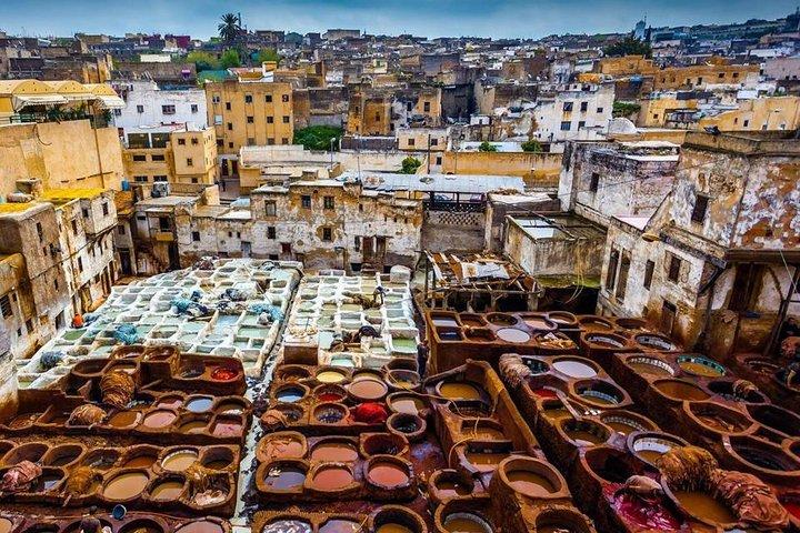 Tour di un giorno da Casablanca a Fez con Volubilis Sightseeing