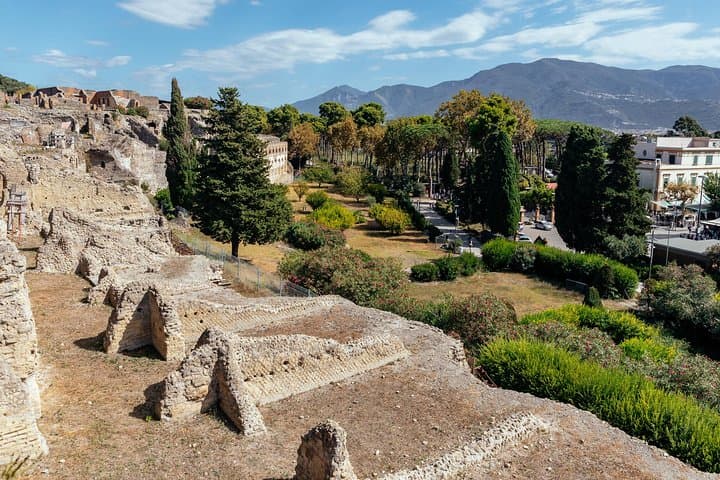 The Ultimate Ruins of Pompeii and Herculaneum Private Day Trip