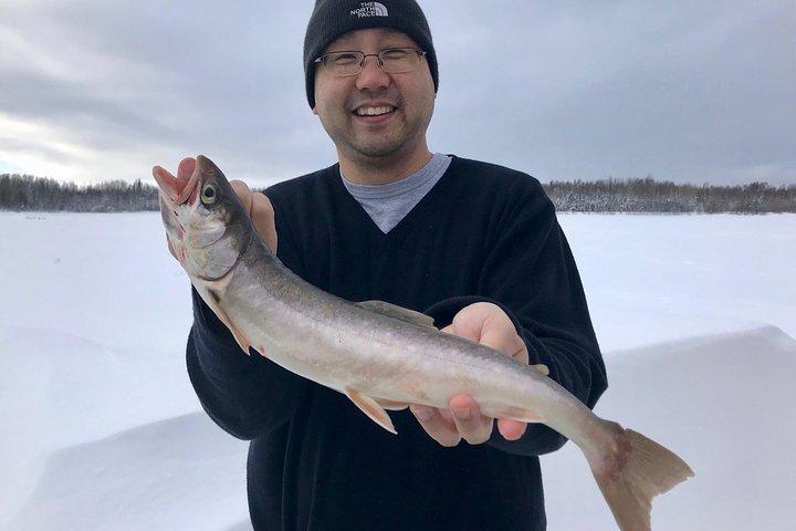 Fairbanks Eisfischen Expedition in einer beheizten Kabine mit Fisch Cookout