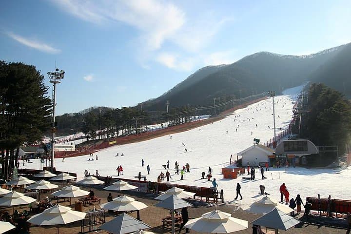 Korea Ski Tour from Seoul - Jisan Resort with Isaac Toast