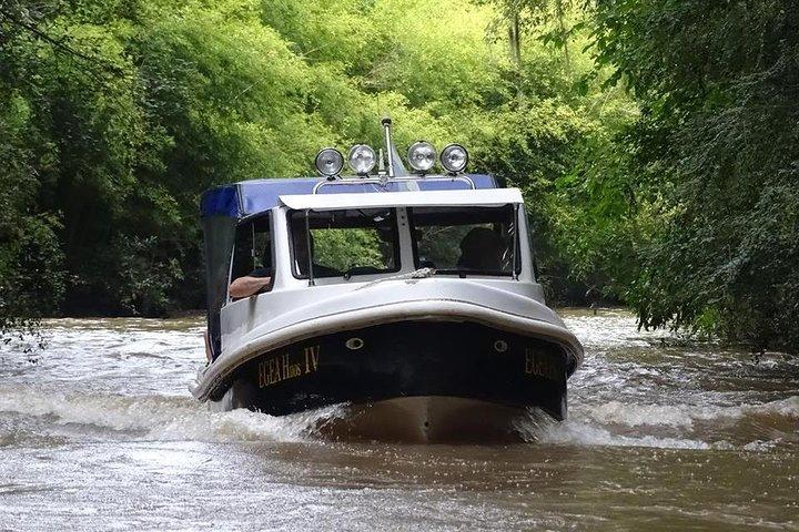 Excursão de barco privado para o Tigre Delta