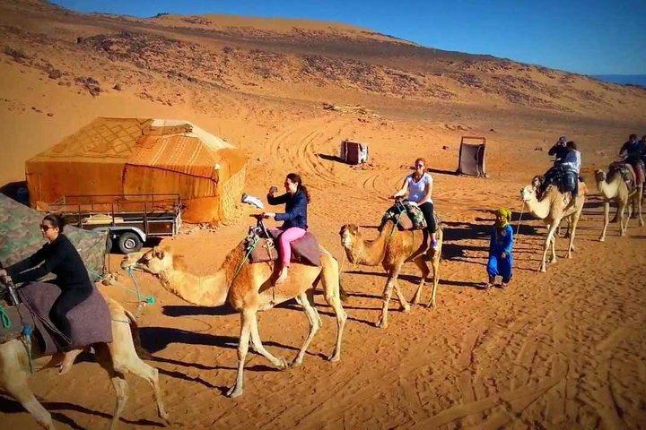 Tour: Tour de 2 días desde Marrakech al valle del Draa y Kasbahs