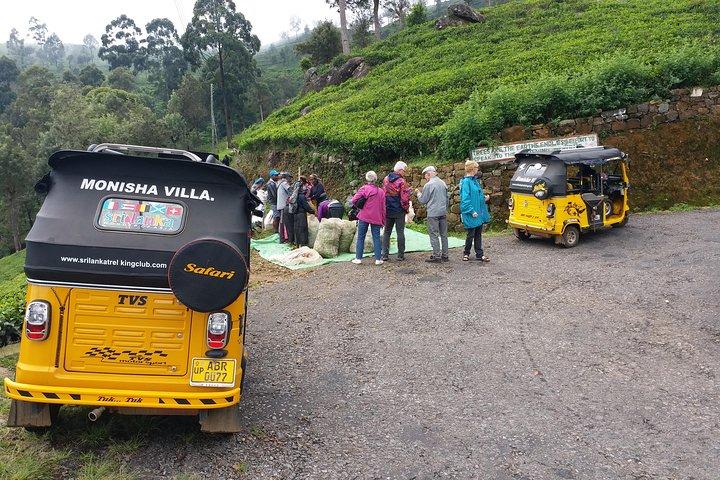 Tuk Tuk safari en picknick in The Tea Plantation van Ella, Haputale en Bandarawela
