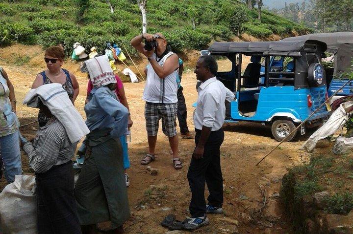 TukTuk Safari in Tea & Spice plantation,View Points,Upper Diyaluma WaterFalls,
