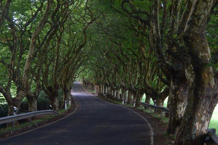 Halbtagesausflug nach Terceira mit 4x4