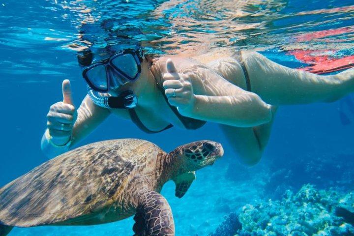 マウイ島マケナ タートル タウン エコ アドベンチャー