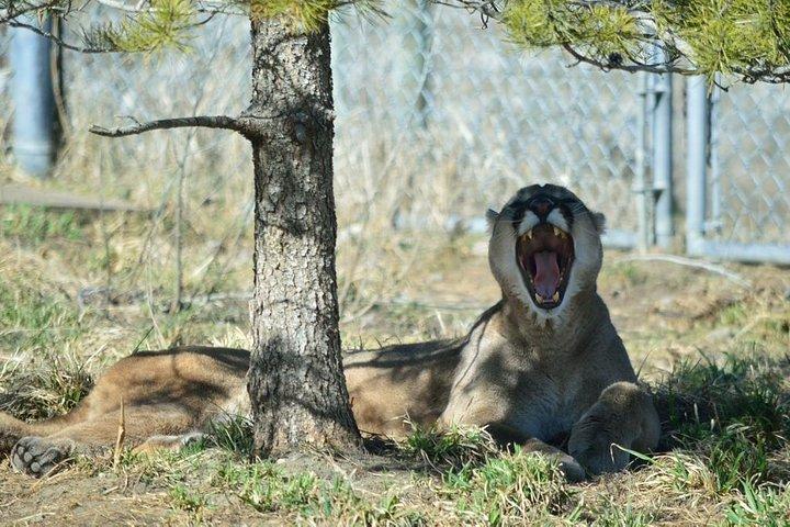 Skip the Line: Kamloops BC Wildlife Park Admission Ticket