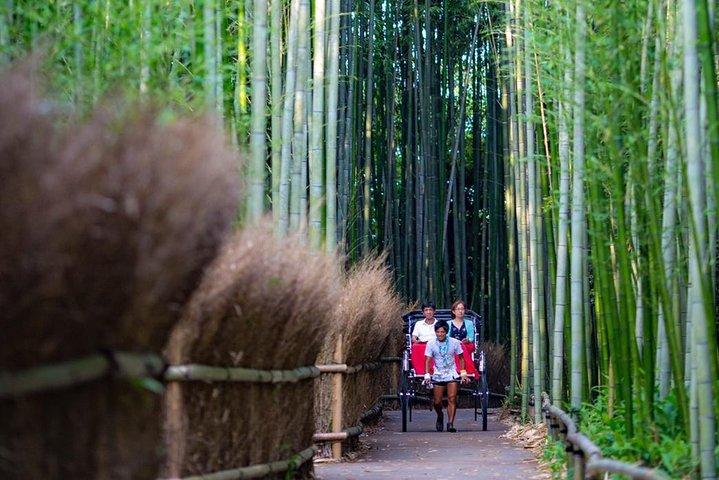 Tour di risciò Arashiyama di Kyoto con la foresta di bambù