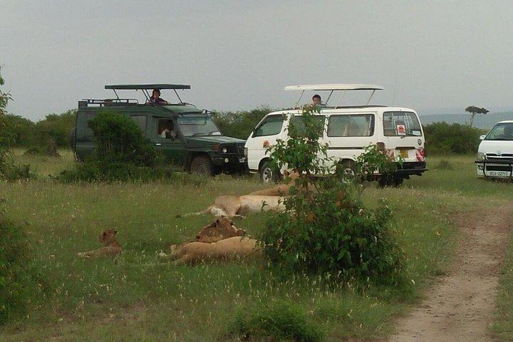 Vandretur: Mt Longonot Day tour