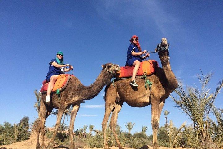 Kameltur i Palmeraie i Marrakech
