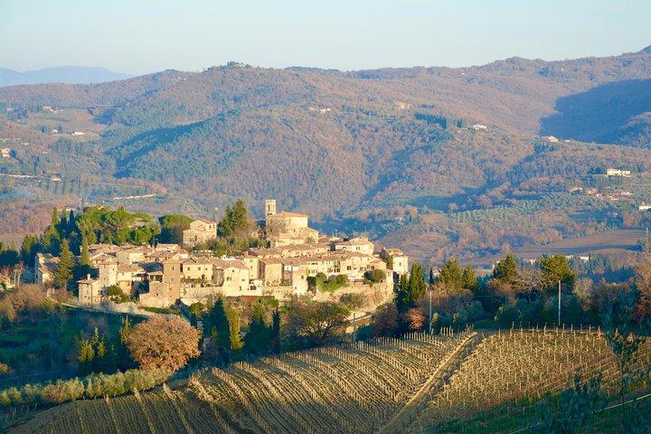 Tour Privado: Região Chianti Tour de Minivan