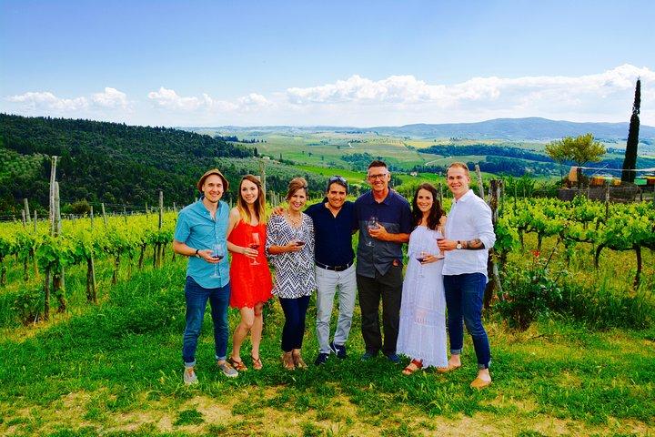 Tour Privado: Região Chianti Tour de Minivan