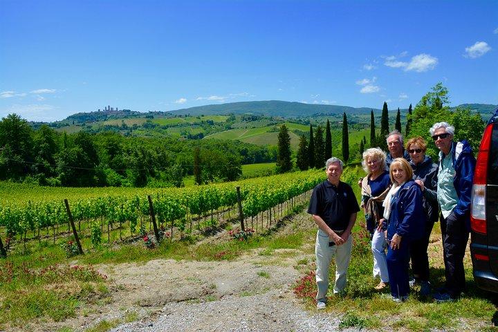 Tour Privado: Região Chianti Tour de Minivan