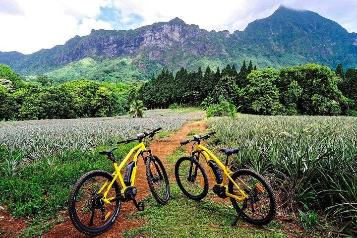 E-Bike Moorea 電動自転車レンタル Moorea
