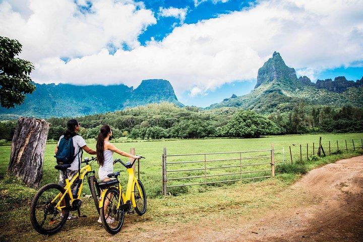 E-Bike モーレア電動バイク ベルヴェデーレツアー(最小催行人数2名)
