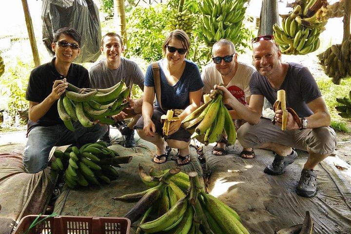Tour Privado: Hotéis perto de Ipoh Secrets Taiping Heritage & Orang Utan Island