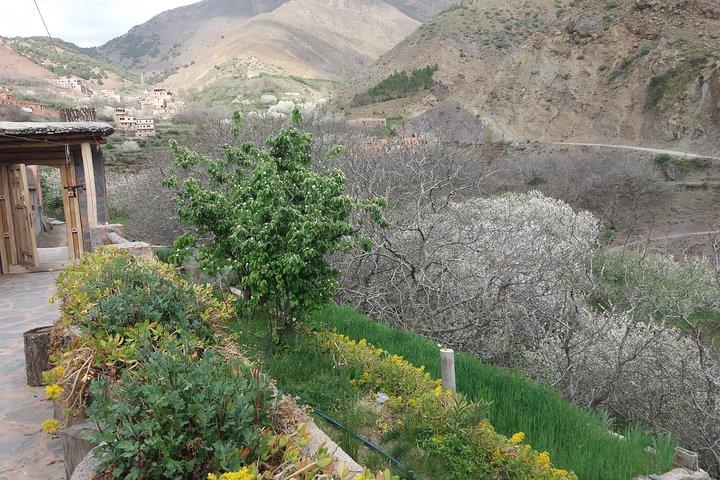 Marrakech til Atlas Mounatains Marokko 1 dag