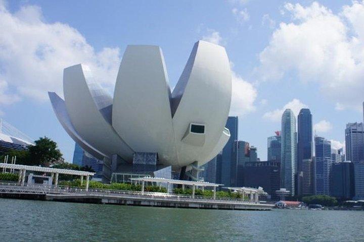 Privat heldags tur til Singapores højdepunkter