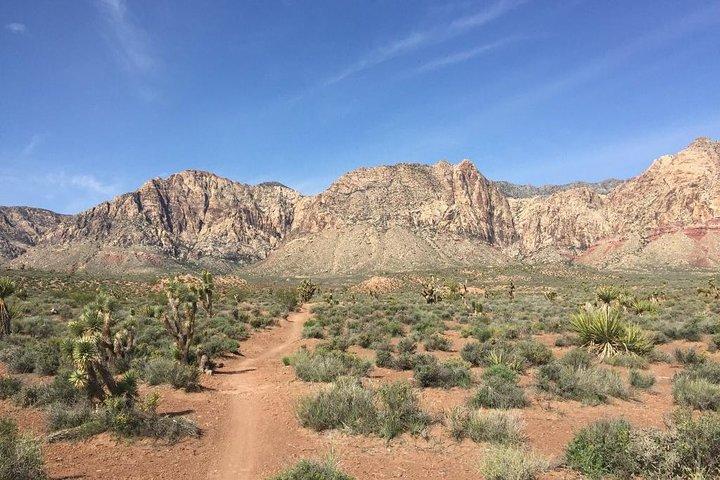 Tour in bici guidato o autonomo del Red Rock Canyon