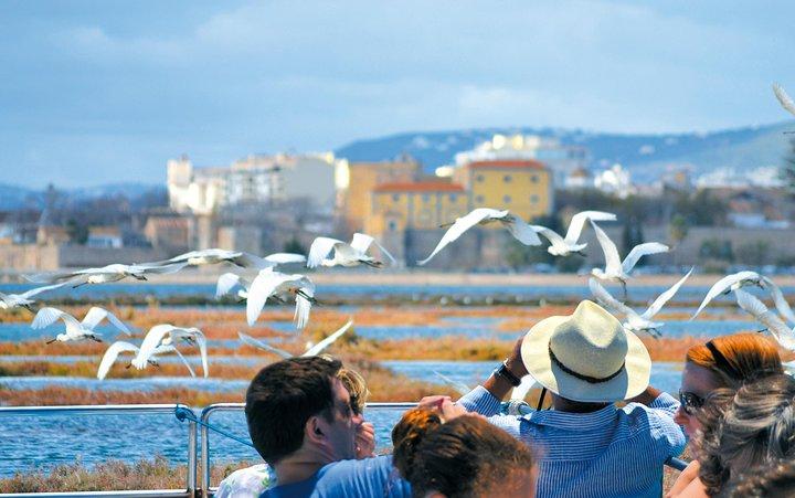 De Faro : Ria Formosa Eco Tour guidé par un biologiste marin
