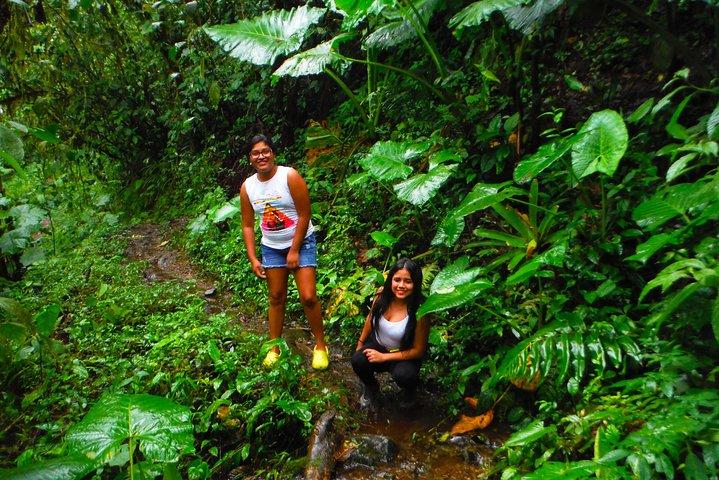 Excursión de un día a un bosque nuboso y cascadas.
