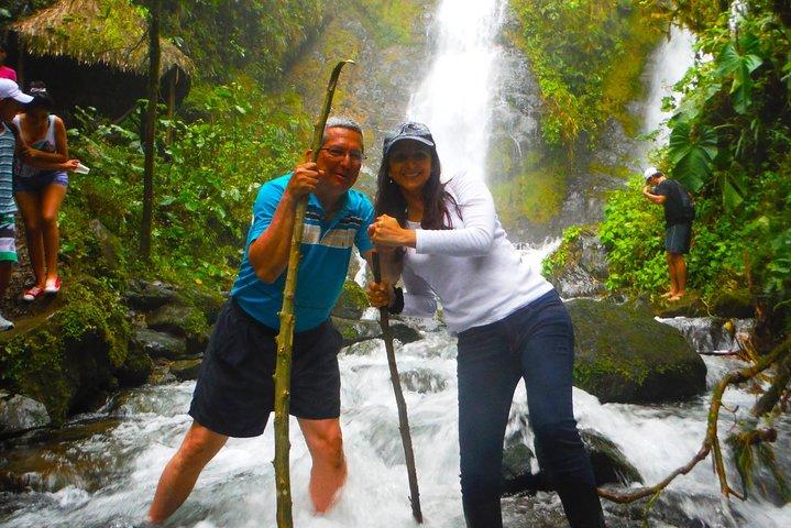 Cloud Forest e cascate private Gita di un giorno