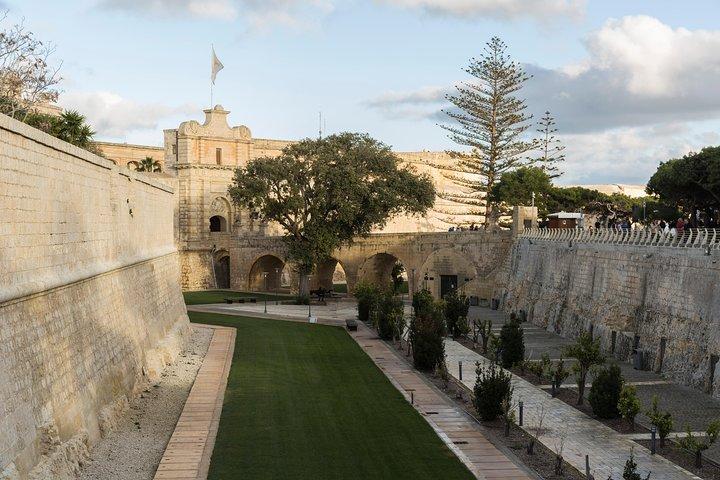 Shore Excursion: visite privée d'une journée de La Valette et de Mdina