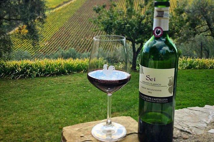 Wijnproeverij Siena en Chianti Excursie per privéluxe van Florence