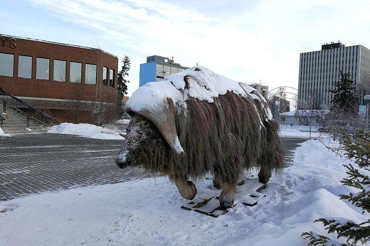 Yellowknife-Stadtrundfahrt