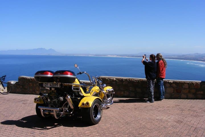 Hermanus and Whale Route Trike Tour from Cape Town