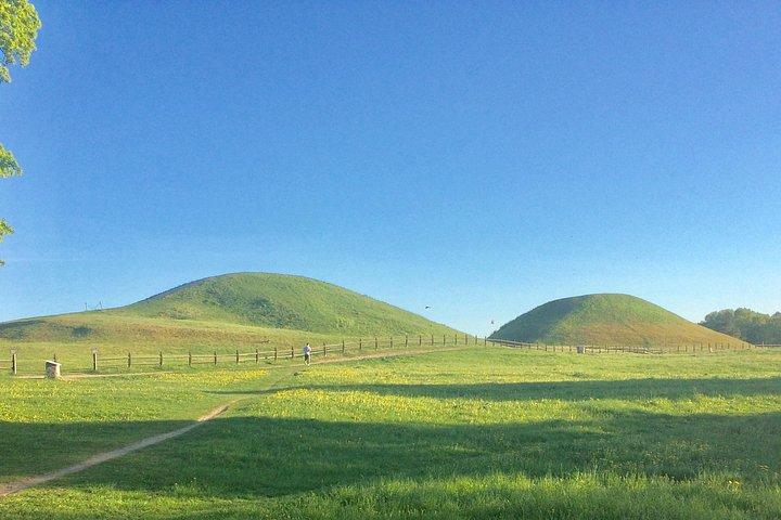 バイキングの歴史とスウェーデン語田舎ツアーシグトゥーナ＆ウプサラ