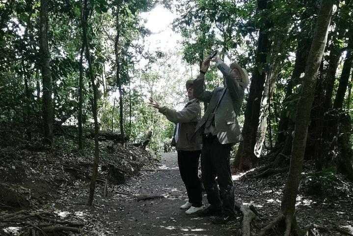 セロベルデ国立公園とコアテペケ湖