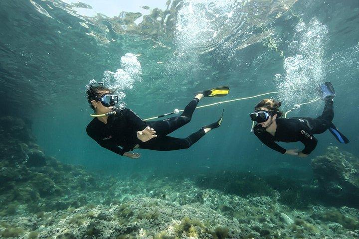 Try Scuba diving in Calabria, Italy