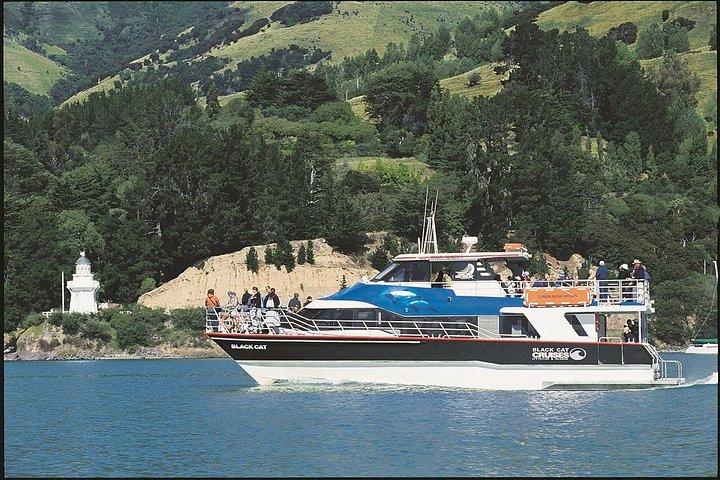 Akaroa Ganztägige Sightseeing-Tour ab Christchurch