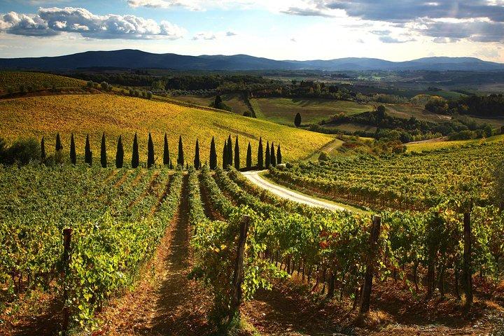 Viagem ao Chianti de pequeno grupo com degustação de vinhos de Siena