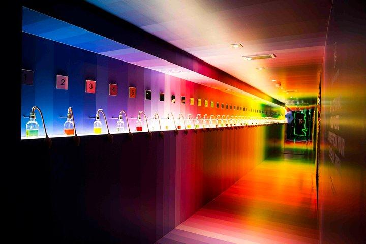 Amsterdam Bols Cocktail Experience e Cocktail Workshop