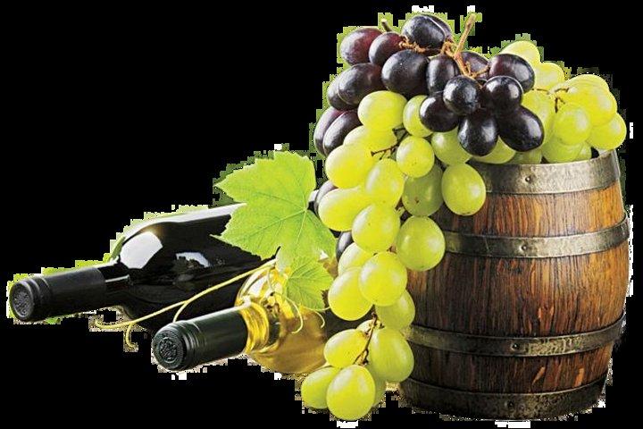 degustazione di vini di provenza