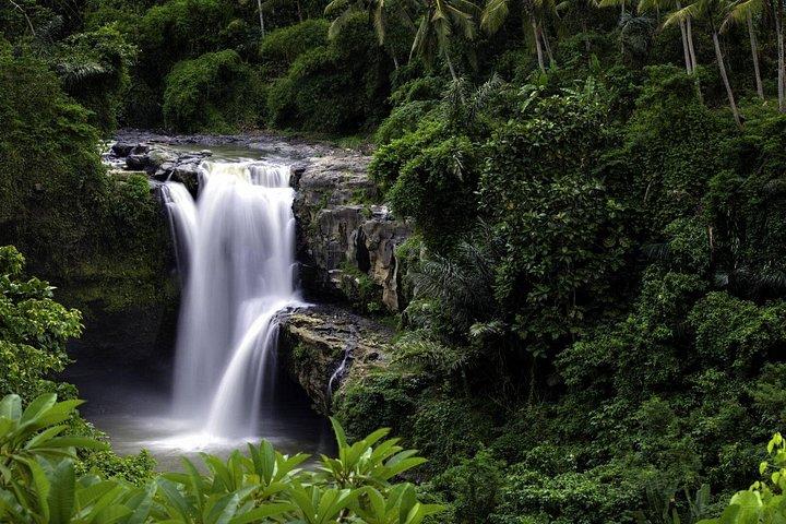 Bali Breathtaking Waterfall Tour (Private & All-Inclusive)