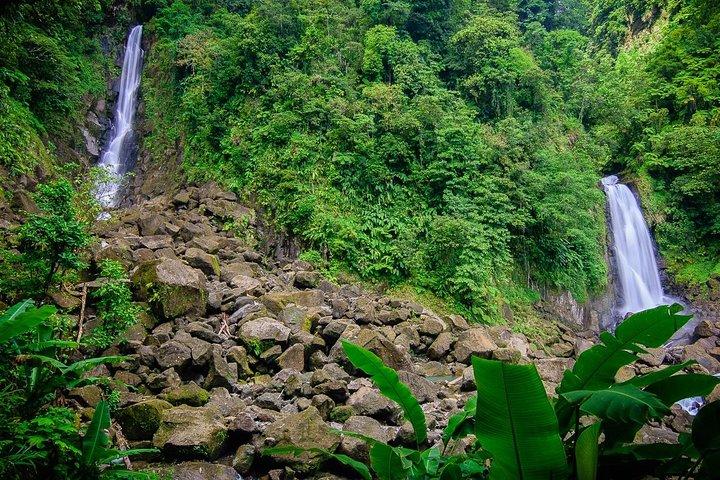 City Tour with Botanical Gardens, Trafalgar Falls & Morne Bruce