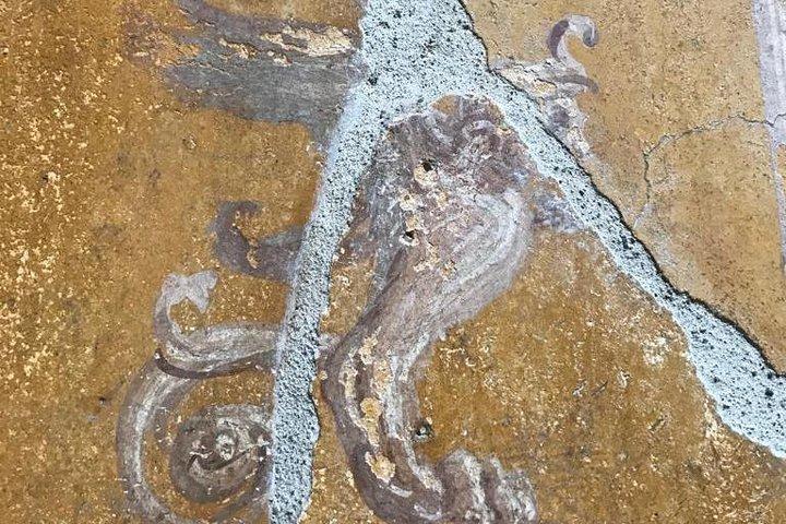 Sitio arqueológico de Pompeya sin colas con guía privado