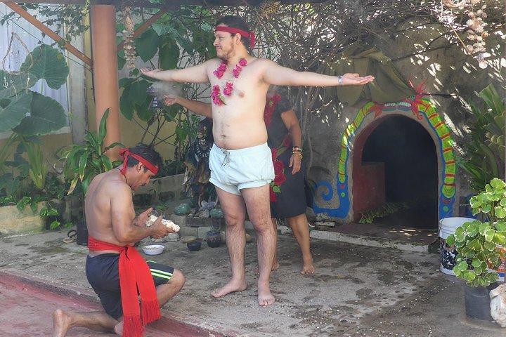 Aztec Temazcal Experience & Jungle Coyuca Lagoon & Turtle Release