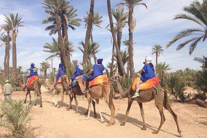 Agafay Desert Experience Camel Trek, Quad Ride & Dinner Show