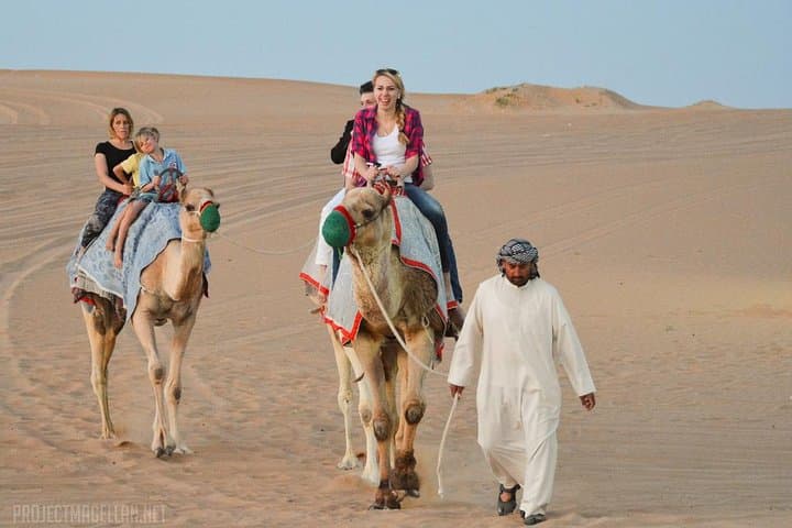 Dubai Morning Red Dunes Desert Safari, Camel Ride & Falcon Photo